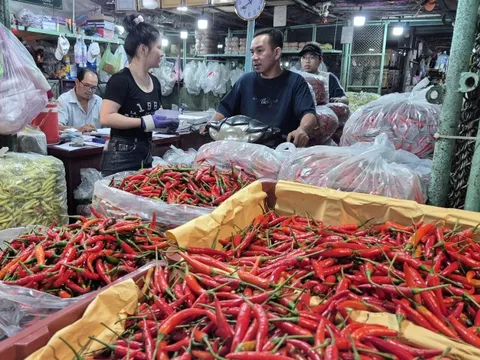 Lý do Việt Nam chi 23,5 triệu USD để nhập khẩu ớt