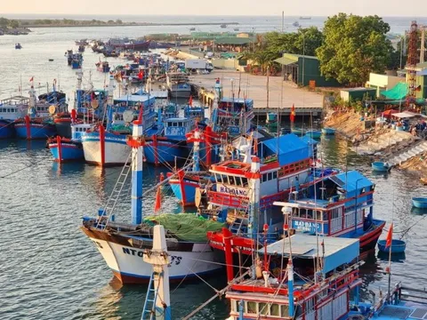 TP HCM góp phần tích cực gỡ "thẻ vàng" IUU