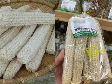 Người Hàn Quốc dùng lõi ngô làm gì mà có mức giá tới cả trăm nghìn/kg