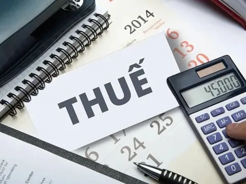 Thuế TP. HCM thông báo các mốc thời gian quan trọng trong tháng 12