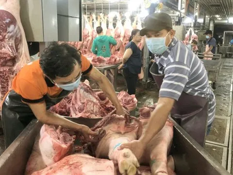 Không lo thiếu thịt heo dịp tết