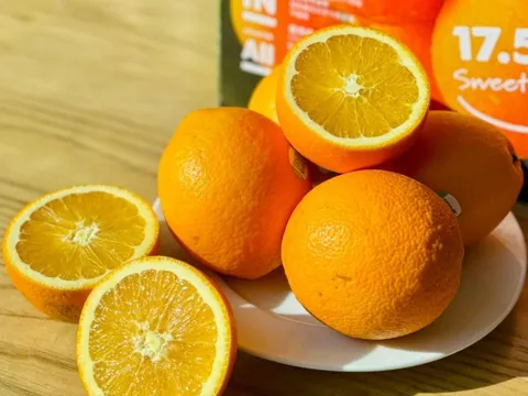 Cam 'quốc dân' Trung Quốc sắp vào Việt Nam: Mỗi quả được đo độ ngọt bằng công nghệ quang học, chỉ 10-20% đạt chuẩn Kim Cương