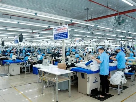 Công ty Dệt may trả cổ tức 25% bằng tiền mặt