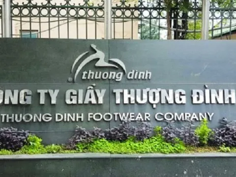 Trả gấp 10 lần giá khởi điểm, 2 nhà đầu tư ôm trọn 69% cổ phần Giầy Thượng Đình