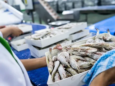 Không phải sầu riêng, mặt hàng Việt khiến Trung Quốc 'mê như điếu đổ': Nước ta bỏ túi 4,3 tỷ USD, Mỹ – Nhật cũng không đứng ngoài cuộc