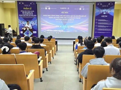 Đồng bằng sông Cửu Long: Bài toán năng lực doanh nghiệp trong kỷ nguyên số