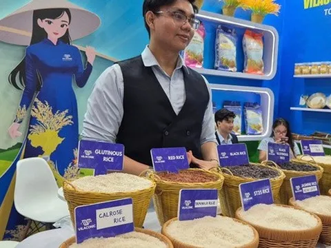 Xuất khẩu gạo dốc sức vượt khó