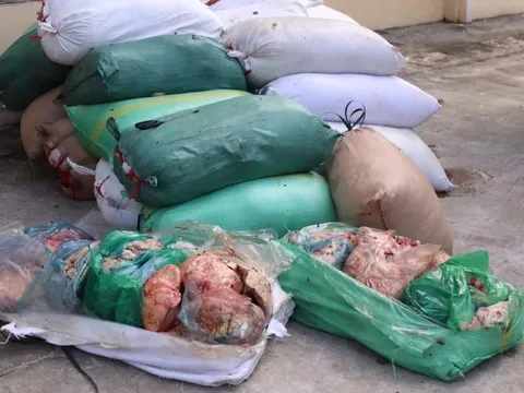 Chặn xe tải trên quốc lộ phát hiện 2,3 tấn nội tạng thối giấu trong bao dứa, chuẩn bị tuồn về Ninh Bình