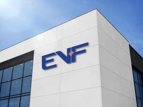 Bật mí 5 lý do quỹ Chính phủ Thụy Điển đầu tư vào EVF