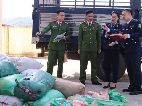 Bí mật giấu kín trong 40 bao tải trên xe ô tô đậu ven đường