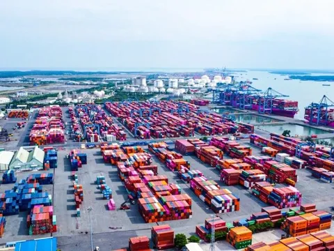 Gần 500 container chè Việt Nam ách tắc tại Pakistan