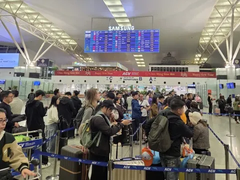 Năm 2025, Cục Hàng không Việt Nam đã tiếp nhận đăng ký thêm 17 máy bay