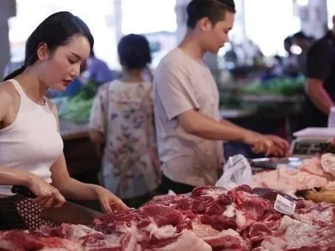 Ở Việt Nam lương vài triệu, sang nước ngoài làm nghề chân tay nhận trăm triệu/tháng