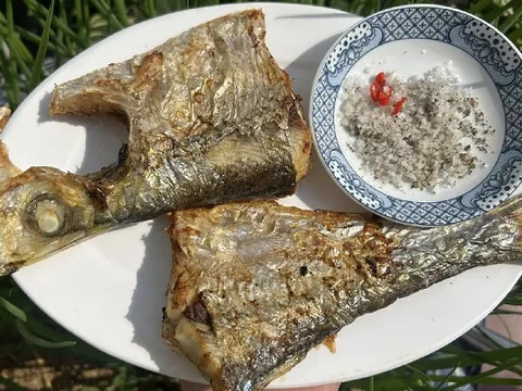 Có tiền chưa chắc mua được: Một trong 'tứ quý ngư' kín tiếng của biển Việt, đắt đỏ nhưng hiếm người được thưởng thức