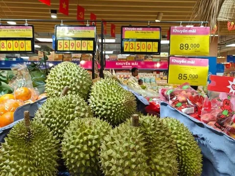 Mỗi quả sầu riêng sẽ được gắn một ‘chứng minh thư’