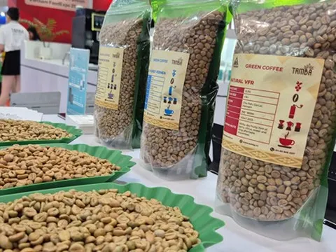 "Cân não" trước vụ cà phê mới