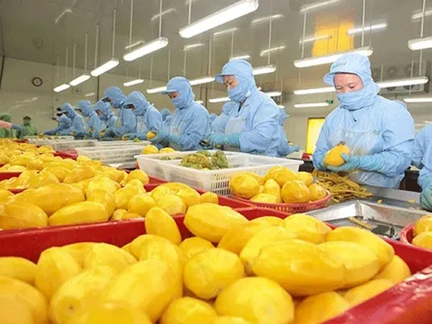 Lội ngược dòng ngoạn mục, một mặt hàng Việt bỏ túi 8,5 tỷ USD, Trung Quốc 'một mình' chi hơn 5 tỷ USD