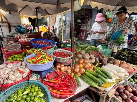 VIDEO: Giá ớt ở TPHCM đắt ngang thịt bò?