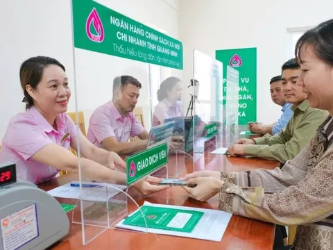 Hộ kinh doanh được vay tới 10 tỷ đồng tạo việc làm
