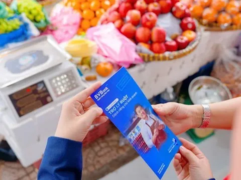 Ba bước chuẩn hóa giúp hộ kinh doanh sẵn sàng trước Giờ G 1/1/2026