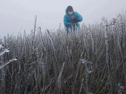 Dự báo thời tiết 11/12: Miền Bắc sắp đón không khí lạnh rất mạnh