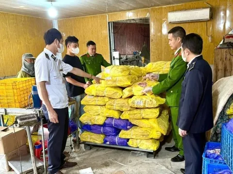 Chặn đứng 752kg chân gà đông lạnh không nguồn gốc tại Bắc Ninh