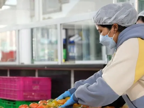 Giá rau củ quả cao ngất ngưởng