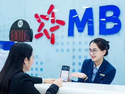 MB là thương hiệu Top 1 được Hộ kinh doanh lựa chọn đăng ký và sử dụng giải pháp loa thanh toán