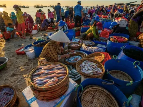 Muốn mua đồ ngon giá hời? Hãy ghim ngay 6 khung giờ đi chợ mà tiểu thương vừa tiết lộ