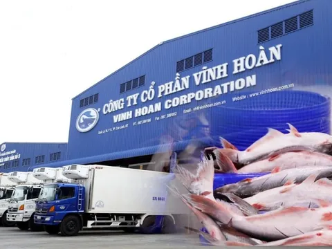 Ái nữ của Chủ tịch một doanh nghiệp đầu ngành muốn chi hàng trăm tỷ đồng sở hữu cổ phiếu