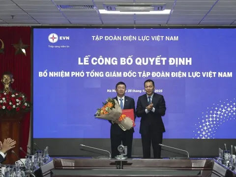 Bổ nhiệm 2 Phó Tổng giám đốc EVN
