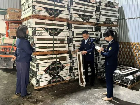 Phát hiện kho gạch ốp lát quy mô lớn không rõ nguồn gốc trị giá hàng trăm triệu đồng tại phường Thái Bình