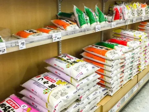Vì sao giá gạo tại Nhật Bản vẫn đắt đỏ dù lượng tồn kho đã chạm ngưỡng kỷ lục