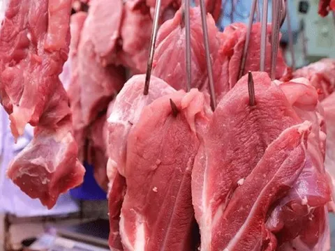 Mặt hàng nào khiến Việt Nam chi tới 1,8 tỷ USD, Ấn Độ là nguồn cung số một?