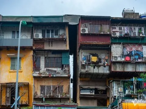 Tưởng người giúp việc lấy trộm ví, sự thật khiến tôi bẽ bàng