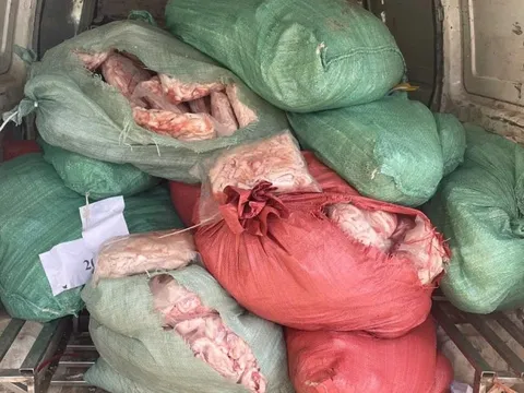 Phát hiện hơn 1,3 tấn thực phẩm động vật không rõ nguồn gốc ngay đầu năm mới