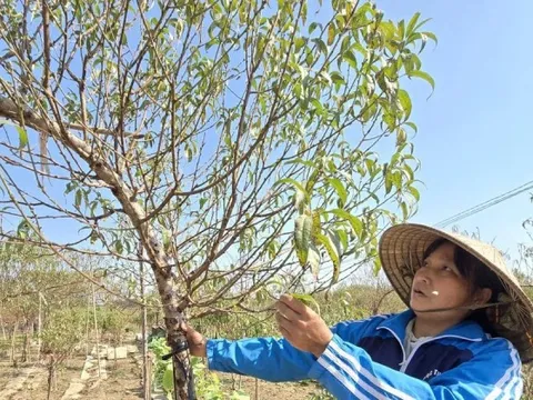 Trục đại lộ cảnh quan sông Hồng: Chỗ đứng nào cho làng nghề truyền thống?