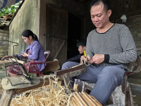Làng làm đũa cau tất bật vụ tết 