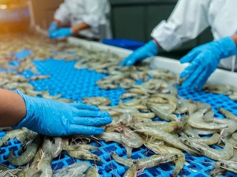 Vượt sóng rào cản, mặt hàng Việt 'ăn nên làm ra' với kim ngạch hơn 11,3 tỷ USD, Mỹ - Trung mua mạnh