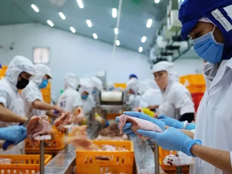 Tết Bính Ngọ lương thực đủ đầy