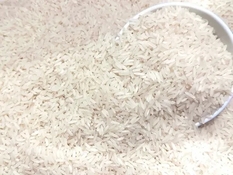 Tháng 3/2026 sẽ bán gạo thay thế loại truyền thống, giá trị dinh dưỡng cao gấp 27%, hợp với người tiểu đường: Giá từ 100.000 đồng/1kg