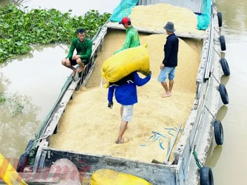 GDP Việt Nam năm 2025 tăng 8,02%