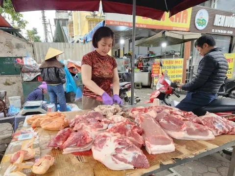 Hơn 1,2 triệu con lợn bị tiêu hủy: Giá lợn hơi tăng mạnh nhưng dự báo sớm hạ nhiệt