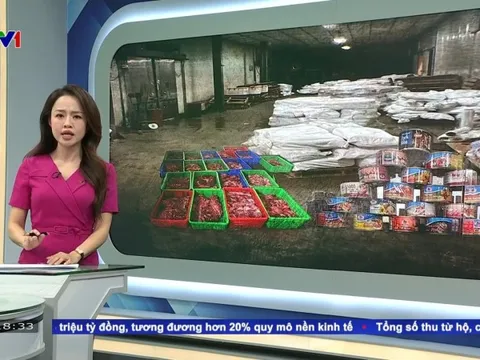 Vụ 120 tấn thịt lợn bốc mùi tập kết tại kho của Đồ hộp Hạ Long: Công an Hải Phòng chính thức khởi tố