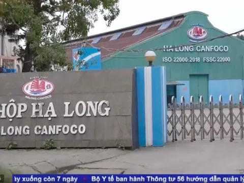 Công ty đồ hộp Hạ Long trước vụ 120 tấn thịt lợn nhiễm bệnh: Doanh thu gần nghìn tỷ mỗi năm, từng là Top 50 doanh nghiệp mạnh ASEAN 2024
