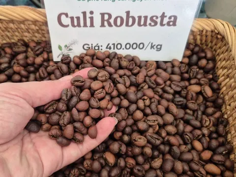 Cà phê lập kỷ lục xuất khẩu 9 tỉ USD: Chủ tịch VICOFA nói gì?