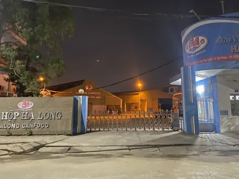 Vụ 120 tấn thịt heo bệnh: Đồ hộp Hạ Long từng đạt giải thưởng "Top 50 doanh nghiệp mạnh ASEAN"