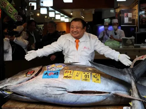 Hơn 85 tỷ để sở hữu con cá ngừ vây xanh, thiết lập mức giá kỉ lục chưa từng có