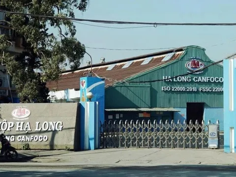 Công ty đồ hộp Hạ Long hoạt động thế nào, ai đang quản lý?