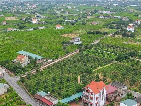 Tháo gỡ vướng mắc các dự án đất đai và triển khai Chương trình mục tiêu quốc gia